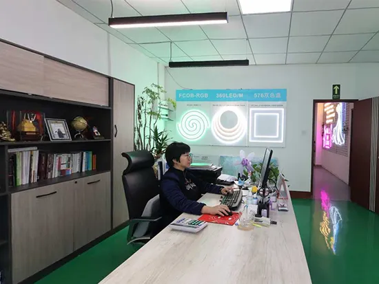 棚照明用のベストセラー LED Super Luxmagnetic リジッド バー